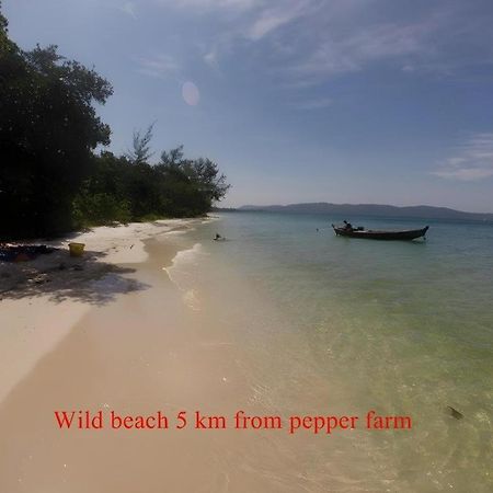 Pepper Farm Phu Quoc Bungalow Exteriör bild