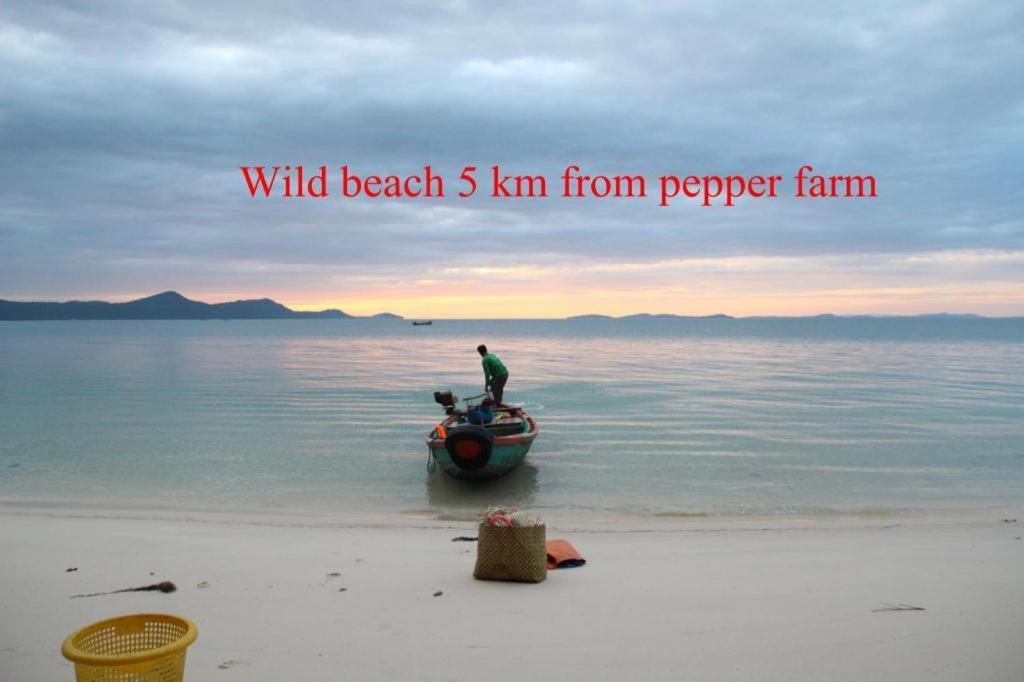 Pepper Farm Phu Quoc Bungalow Exteriör bild