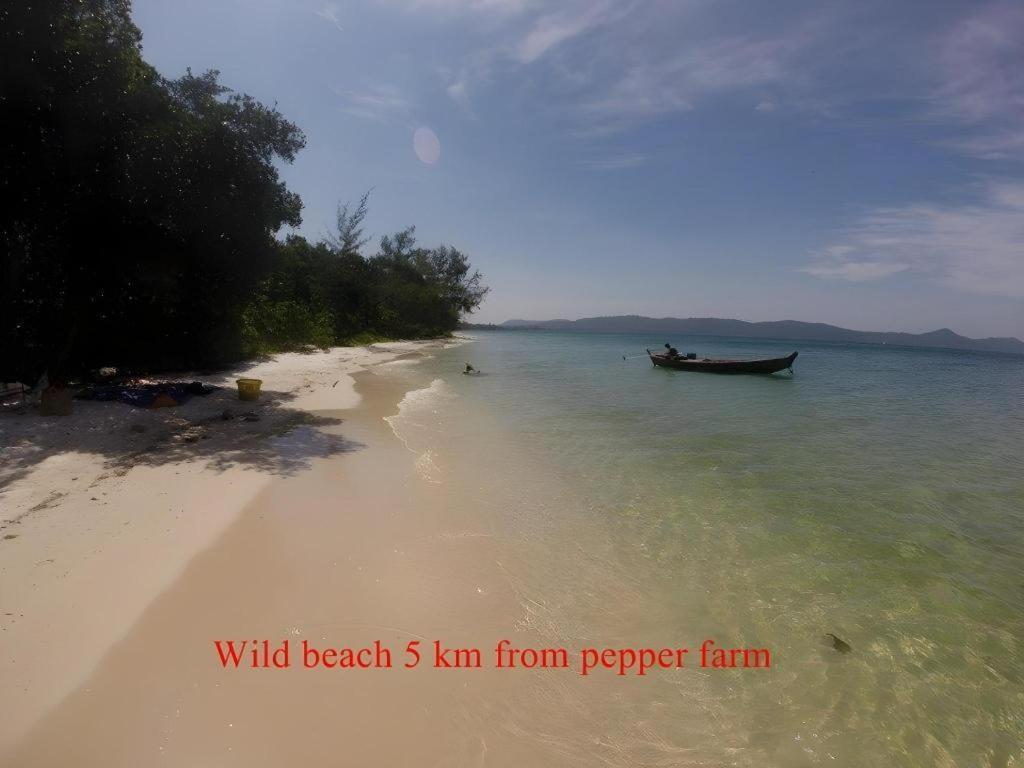 Pepper Farm Phu Quoc Bungalow Exteriör bild