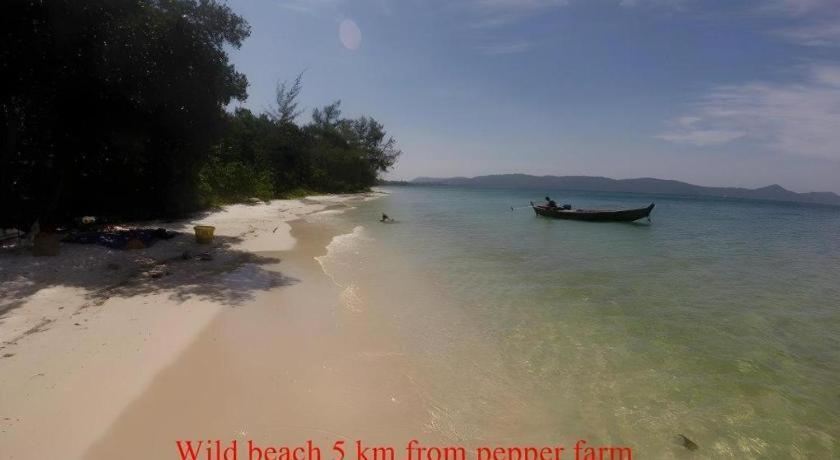 Pepper Farm Phu Quoc Bungalow Exteriör bild